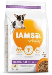 Iams Takarmány IAMS kutyakölyök kis és közepes csirke 3 kg