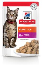 Hill's Hills SP Feline Adult Beef 12x85g