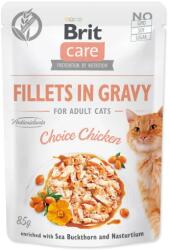  Kapsička Brit Care Cat kura, filety v omáčke 85g