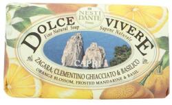Nesti Dante - Dolce Vivere - Capri natúrszappan 250 gr