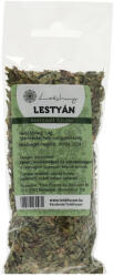 Lakshmi Lestyán Morzsolt