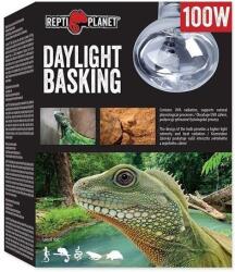 Repti Planet Daylight Basking All in One - Természetes nappali fényt sugárzó izzó (100 W)