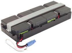 APC Rbc31 (rbc31) - fizz