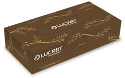 Lucart Kozmetikai kendő 2 rétegű 100 lap/doboz EcoNatural 100V Lucart_841073 havanna barna (46383) - printsisters