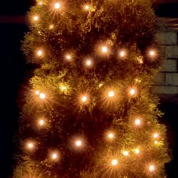 Christmas Lighting kül- és beltéri LED fényfüzér, 100 LED, borostyánsárga (LED 100/A) (LED 100/A)
