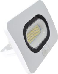 TRACON Smd Fényvető Mozgásérzékelővel, Fehér 50 W, 4000K, Ip65, 220-240 V Ac, 4000 LM, 110°, 3-10M, EEI=G