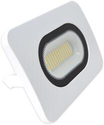 TRACON Smd Fényvető, Fehér 220-240 V Ac, 50 W, 4000K, Ip65, 4000 LM, EEI=G