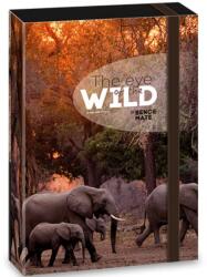 Ars Una Ars Una: Máté Bence The Eyes of the Wild elefántos füzetbox A/5