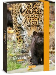 Ars Una Ars Una: Serenity Jaguár A5-ös füzetbox