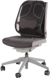 Fellowes 8029901 Professional Series Mesh háttámasz (FELLOWES_8029901) (FELLOWES_8029901)