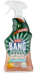 Cillit spray 750ml T. hat. Kosz&Vízkő - delfinbuvar