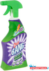 Cillit Zsíroldószer szórófejes 750 ml Cillit Bang (47087) - nyomtassotthon