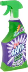 Cillit Bang 750ml szórófejes zsíroldószer (5918)