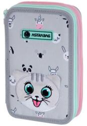 Astra Astrabag tolltartó, 2 rekeszes, 20, 5 x 13 x 4, 5 poliészter, nem felszerelt (EMGAZ023026)