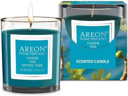 Areon Lumânare parfumată Areon Classic - Under the Mystic Tree, 120 g (CR06_G01)