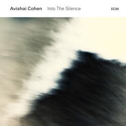  Avishai Cohen: Into The Silence
