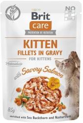 Brit Care Cat Kitten Fillets in Gravy with Savory Salmon 6 x 85 g