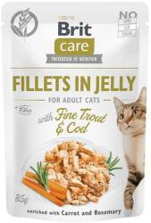 Brit Care Cat Fillets in Jelly with Fine Trout & Cod 12 x 85 g