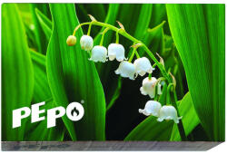 PE-PO Hosszú gyufák 95mm