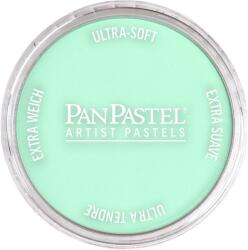 PanPastel Artists’ Pastel uscat 956.5 Pearlescent Green 1 buc (8029565-1)