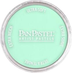 PanPastel Artists’ Сух пастел 956.5 Pearlescent Green 1 бр (<![CDATA[8029565-1]]>)