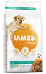 Iams Takarmány IAMS kutya felnőtt súlykontroll csirke 3 kg