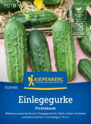 kiepenkerl Picklebush" uborka - 1 csomag
