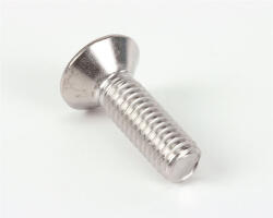 Screw, M6 Door Retaining #0556