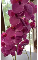 Manóvilág Cserepes Orchidea /pink / 60-65 Cm (élethű, Gumi, Gondozásmentes)