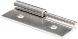  Hinge, Male W/ Pin, Ss