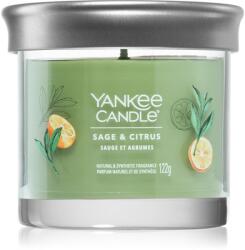 Yankee Candle Sage & Citrus lumânare parfumată 122 g