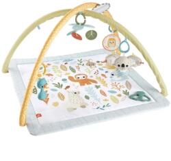 Mattel Interactive Salteluta cu Activitati Senzoriale Mattel Interactive Fisher Price Perfect Sense Deluxe 0 Luni+ Multicolor (194735171385)