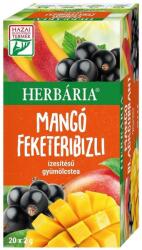 Herbária Mangó-Feketeribizli tea - 20 filter - bio
