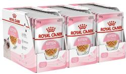 Royal Canin Royal Canin KITTEN Instinctive in Jelly hrană cu jeleu în ambalaj de aluminiu 36 x 85 g