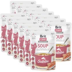 Brit Brit Care Cat Soup with Salmon 15 x 75 g
