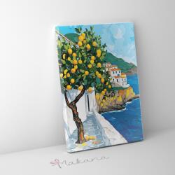 Makana Narancsillatú görög táj - Számfestő készlet, kerettel (40x50 cm)