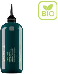 Raywell B. IO LAMELLÁRIS Hajregeneráló Víz - 9 Másodperces Csodakezelés 500 ml