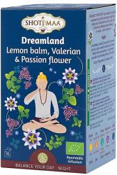 Ceai 100% Bio Organic Ayurvedic „shoti Maa | Pentru Vi