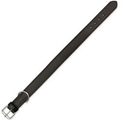 TRIXIE Obojok Trixie Active čierny L 48-55cmx40mm