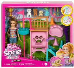 Mattel Barbie és Stacie Megmentése: Kutyaiskola Játékszett (HRM10)