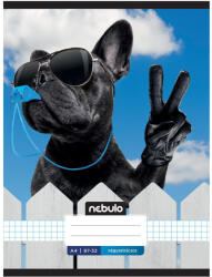 Nebulo Füzet, A4, kockás, 87-32, Xtreme minták, 12 db/csomag Nebulo (55830) - printsisters