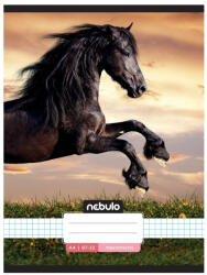 Nebulo Füzet, A4, kockás, 87-32, L-Design minták, 12 db/csomag Nebulo (55833) - printsisters