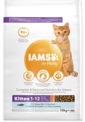 Iams Cat Kitten óceánhal 10kg (1753-127737)