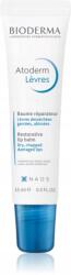 BIODERMA Atoderm Lip Balm regeneráló balzsam száraz ajkakra (3701129801000)