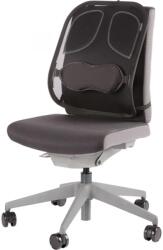 Fellowes Professional Series Mesh Back Support (8029901)