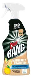 Cillit Vízkőoldó szórófejes 750 ml Természetesen Hatékony Kosz&Vízkőoldó Cillit Bang (C52778) - web24