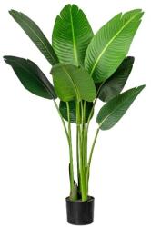 4-Home Strelitzia Nicolai műnövény cserépben, 120 cm, zöld
