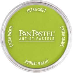 PanPastel Artists’ Pastel uscat 680.5 Bright Yellow Green 1 buc (8026805-1)