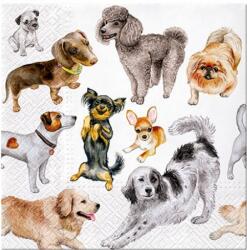 AMBIENTE Szalvéta 33x33cm 20db/csomag Dogs Happiness, Kutyák boldogsága (P.W.SDL132600)