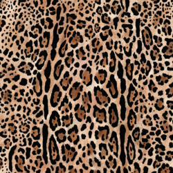 Takoy Jersey Punto di Roma 230g leopárd